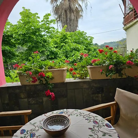 Ferienhaus Paola